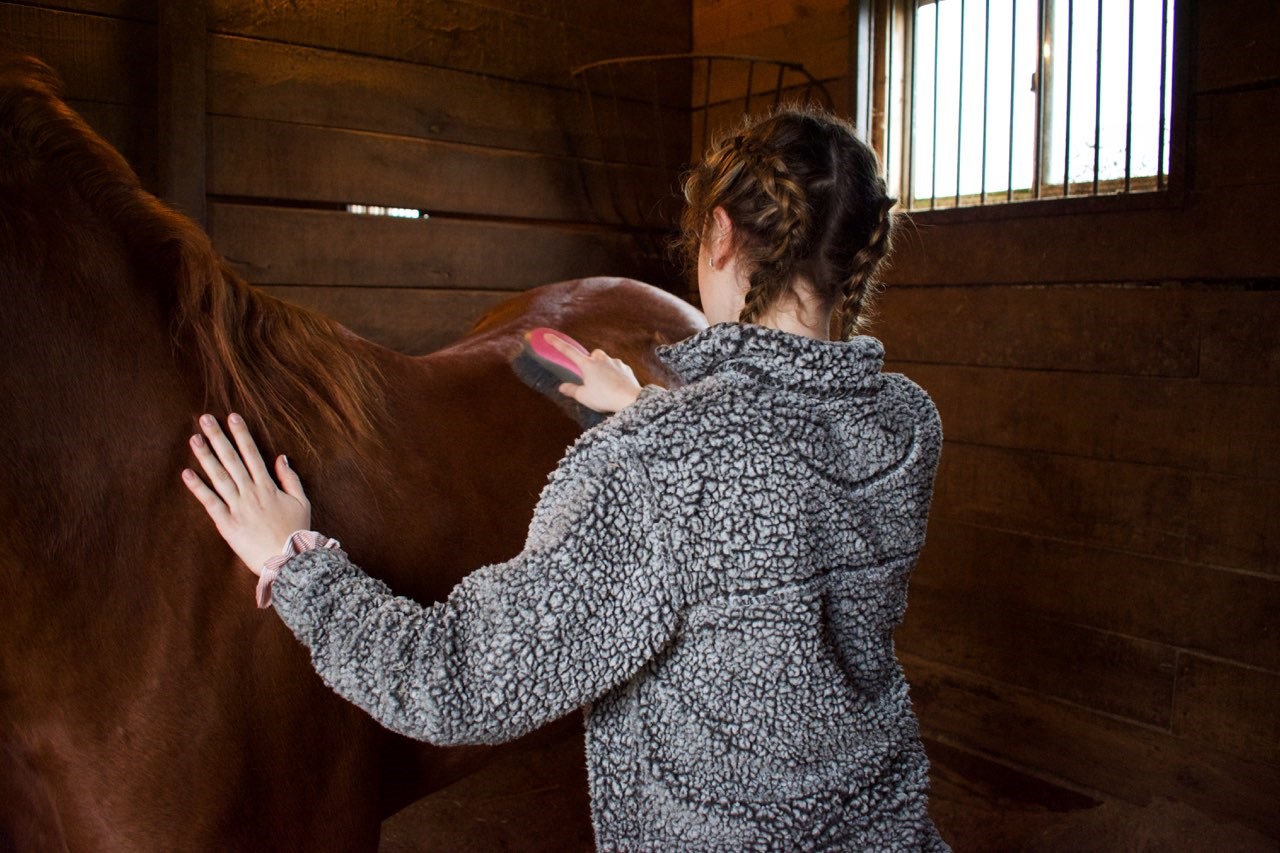 giving your horse a good grooming before you tack up ensures that he will be comfortable youll look professional and its good bonding time for you and your horse as well