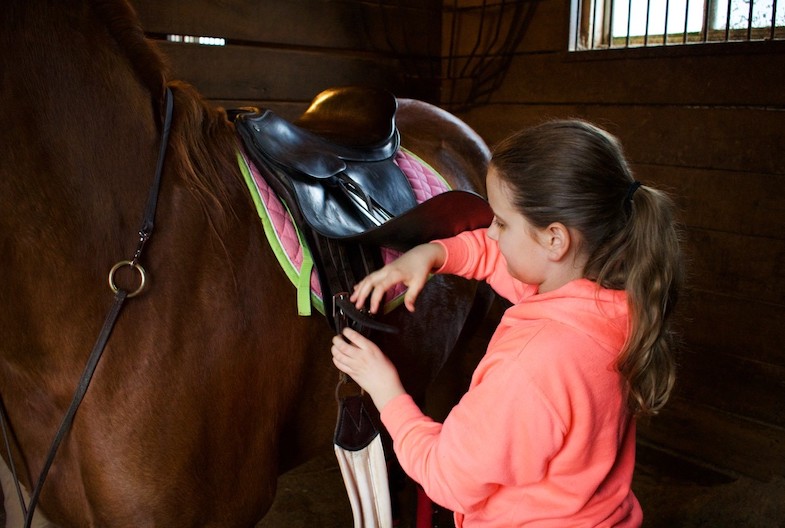 lesson horses come in all shapes and sizes so its important to know what size girth your mount requires