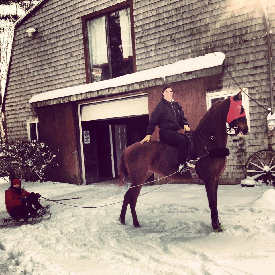 For those who live in snowy areas, sledding or skiing with their Saddlebreds is a popular pastime.