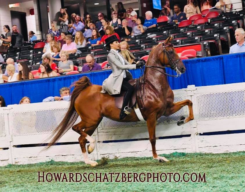 Heir Highness and Renna Russo took third place in the qualifier. 