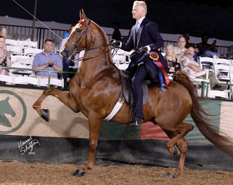 Smith Lilly of Mercer Springs Farm has trained numerous World's Champion horses and riders and believes that you become a horse's leader by earning their respect and trust. He is pictured here aboard World's Champion Tango's Token Kiss.