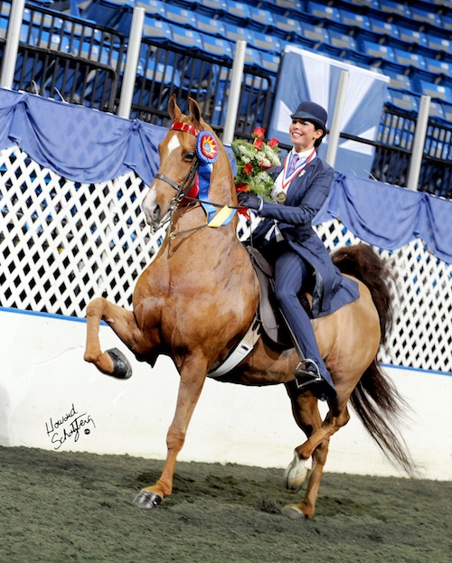 Faye Wuesthofen taking her victory pass aboard CH-EQ Kiss Of The Zodiac after winning the USEF Medal Finals and Equitation Triple Crown in 2009.