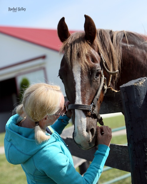 Buck Be A Lady is one of Elisabeth's favorite horses.