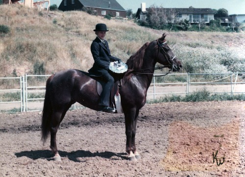 Elisabeth on her first horse, a Morgan named Waer's Miss Marcy.