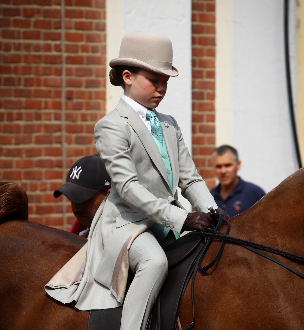 A young walk and trotter in a light colored suit. Photo by Dallys Malenfant.