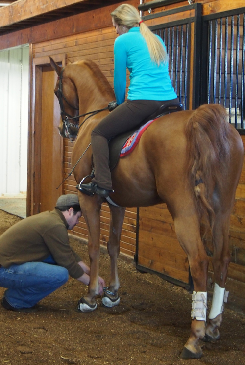 Zach Duffy adjusts equipment on one of their horses.