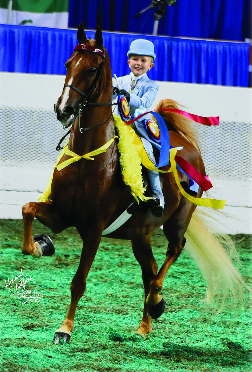 At the World's Championships in 2014, Molly Crim found herself in need of a walk and trot mount, so Reese and Erin Richey offered their daughter Reagan's horse, Miraculous Odds.