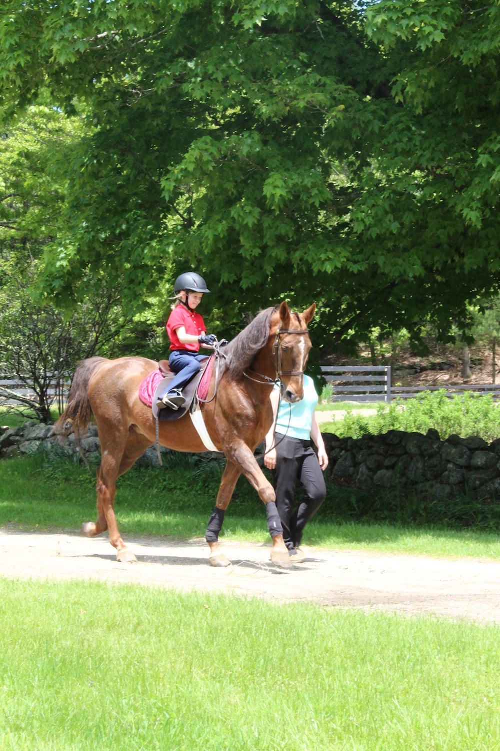 The summer months provide the perfect weather for working horses outside.