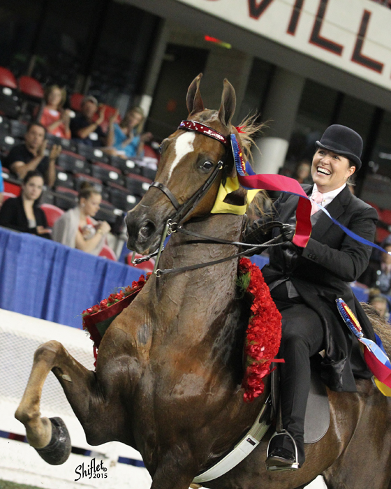 Mary Orr being named the Park World's Champion Of Champions with CH Let's Talk in 2015.