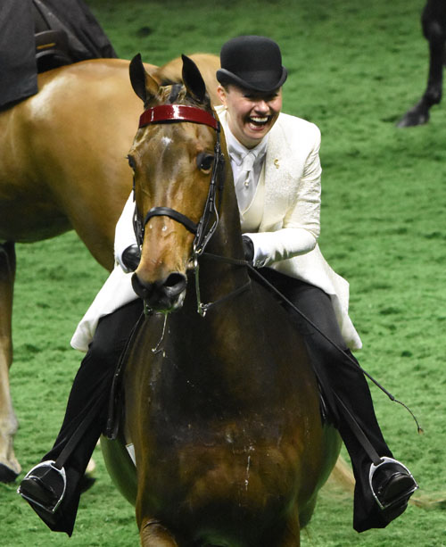 Amanda Murchison was thrilled with her wins with Spread The Word in the Adult Three-Gaited Show Pleasure division. Photo by Avis.