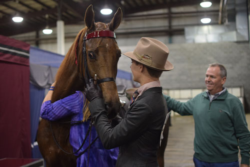 Amy Stinnett hugged Agent Cool Blue after he and her son Clayton completed a wild workout to win the Junior Exhibitor Five-Gaited Show Pleasure Championship.