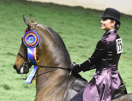 Juliette Dell rode CH Reedann's Rare Mystery to take the tricolor in the Adult Country Pleasure Championship. Photo by Avis.