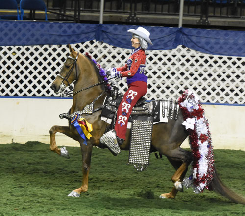 Marty McFly and Toni Utoft won the Parade Horse Championship for the third consecutive year. Photo by Avis.