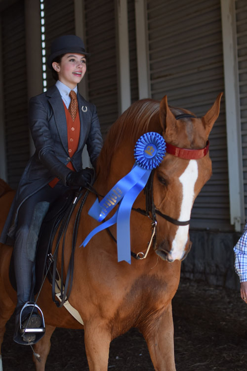 Thea Merlo rode CH High Point's Grandee to the Junior Exhibitor Country Pleasure 13 Under blue under the Northern Tradition banner.