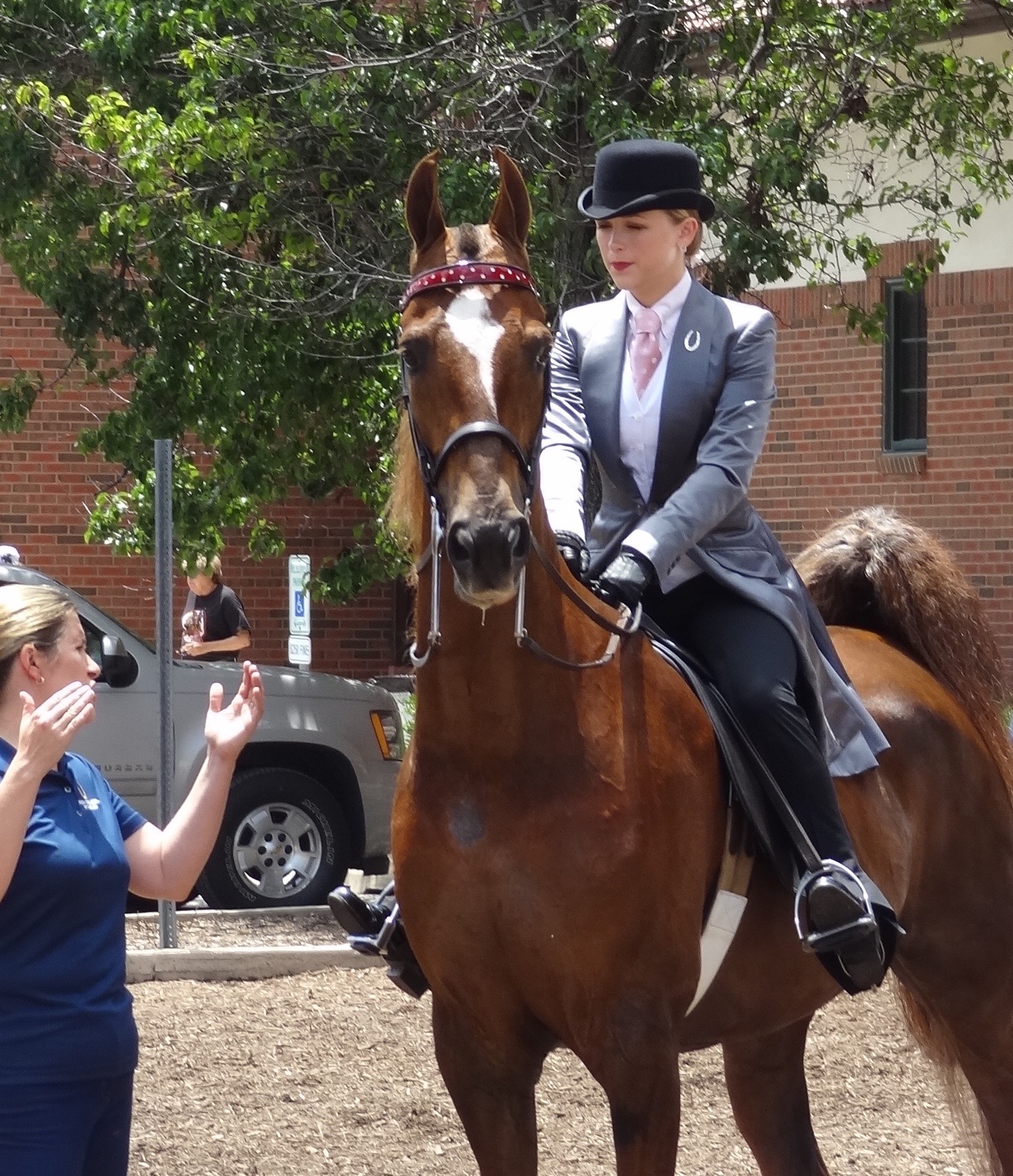 McGee Bosworth and CH Lets Talk were the Amateur Three Gaited Park Champions and Grand Champions.