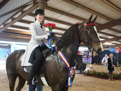 Kara Hachigian and Party Nut took the Five-Gaited Show Pleasure Championship.