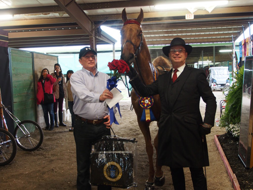 Danny Cummins and trainer Jack Magill with Five-Gaited Stake winner Speak No Evil. All three of Danny's horses were undefeated at Pin Oak.