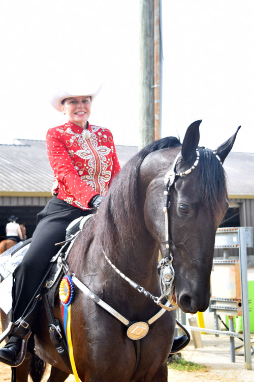 Marti Lockwood rode Arrowhead's Captain Morgan to top the western division at Tampa. It was her first time as the Amateur Owner Trainer of a western Saddlebred.