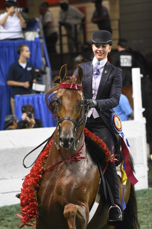 CH The Daily Lottery and Eleanor Rainbolt Forbes took the Junior Exhibitor Five-Gaited 14-17 Championship.