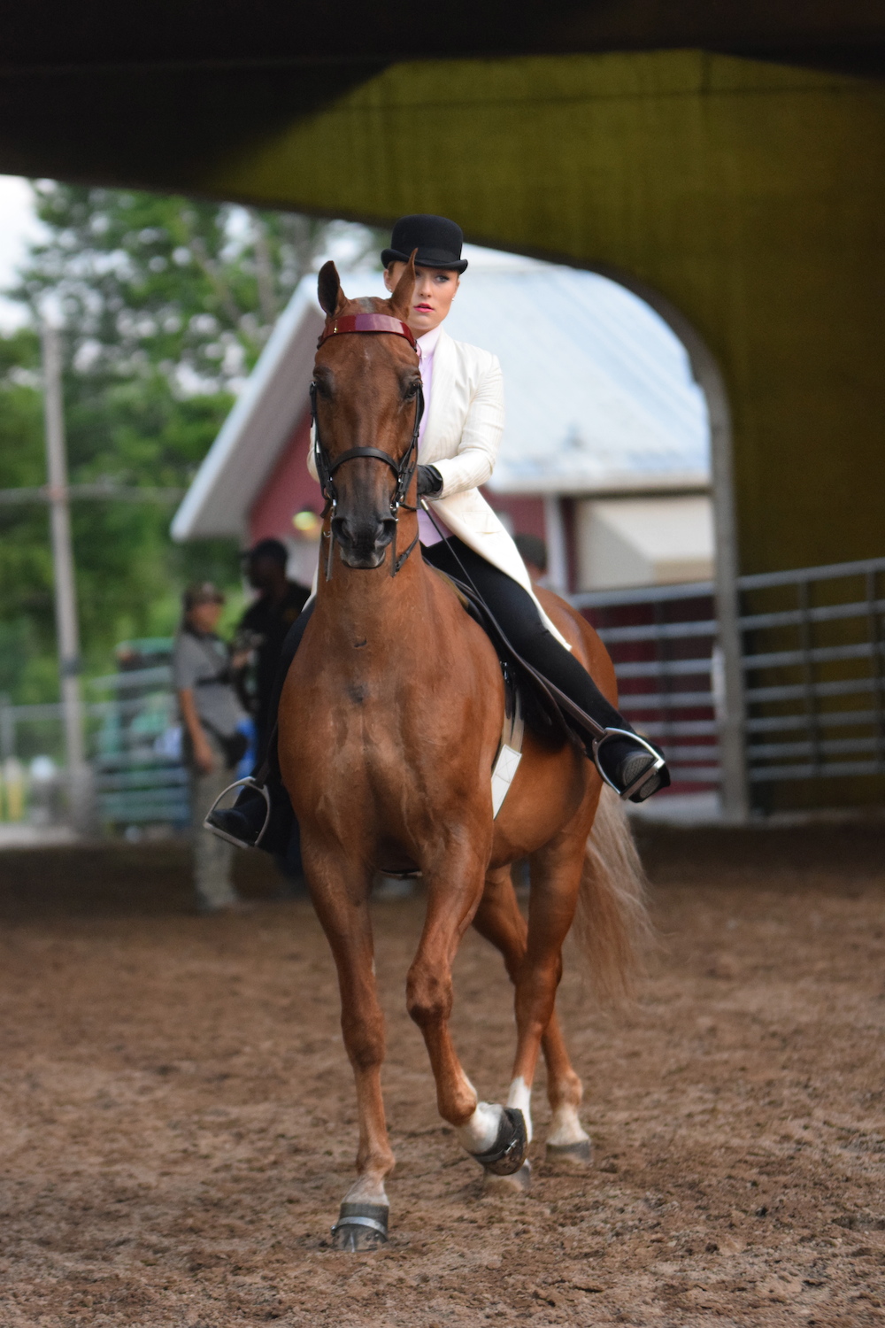 The flat walk is a challenging but vital part of competing in the pleasure division.