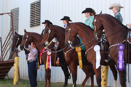 If you have questions about how you placed in a class, you are allowed to contact the judge after the show is over, but be forewarned that they may not remember your particular performance.