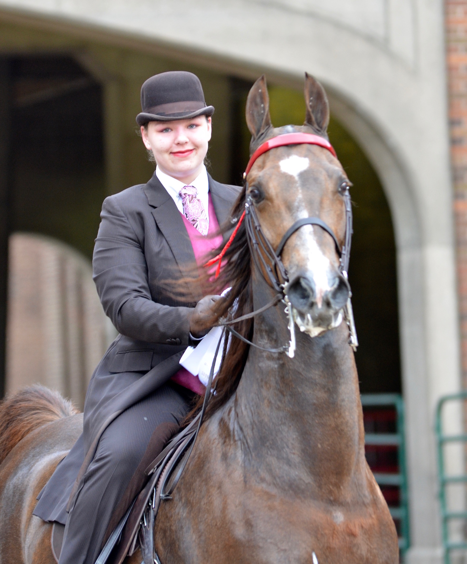 Happy show horses should look bright and interested in their surroundings,