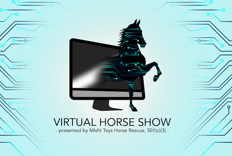 The Virtual Horse Show offers over 75 different classes for horses and 15 classes for dogs.