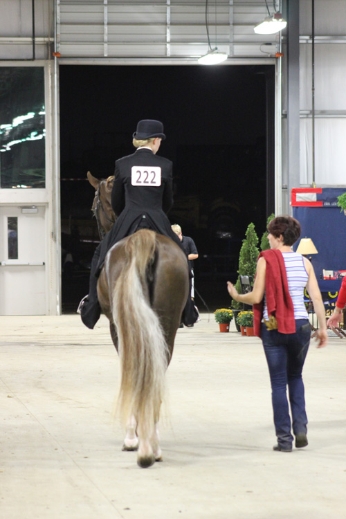 Keen and Alex Forbes with Bunsen Burner after her first class as a country pleasure horse.