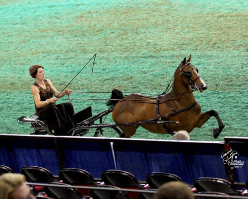 Keen showing Heartland Ever After.