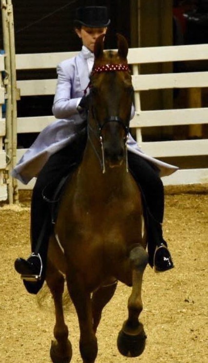 My daughter, Allison, and CH Simon Cowell at their first and only show so far this year. 