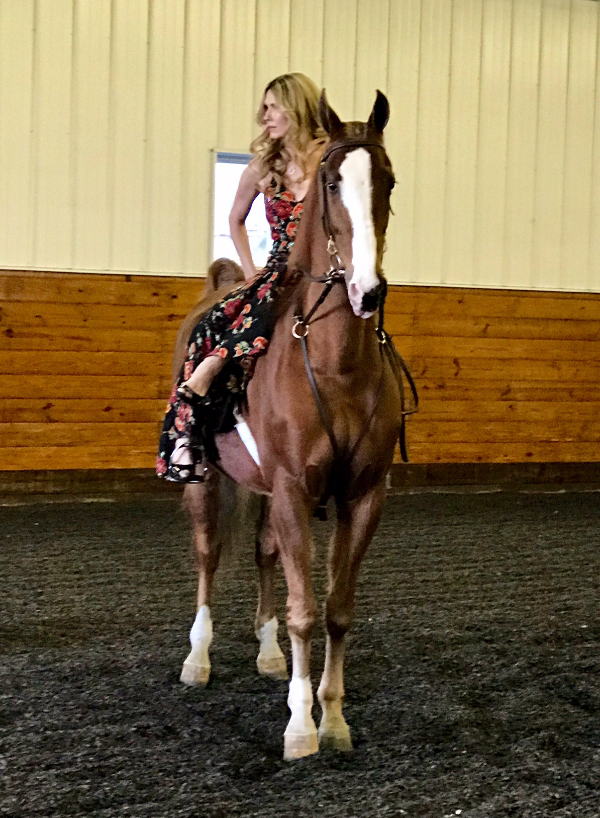 He was a great sport when they asked me to pose sidesaddle in an evening gown.