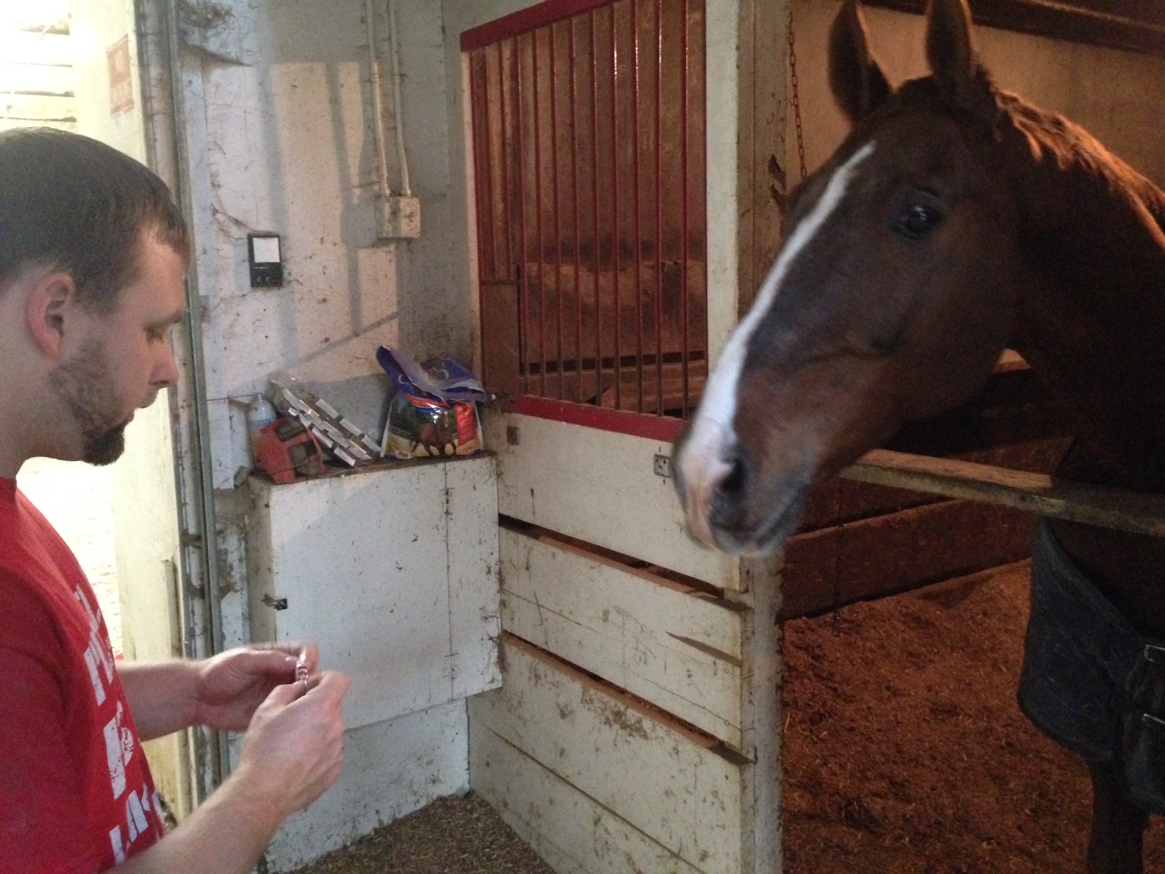 Slider loves my fiancé because he is the treat man, but says he opens peppermint wrappers too slowly. 